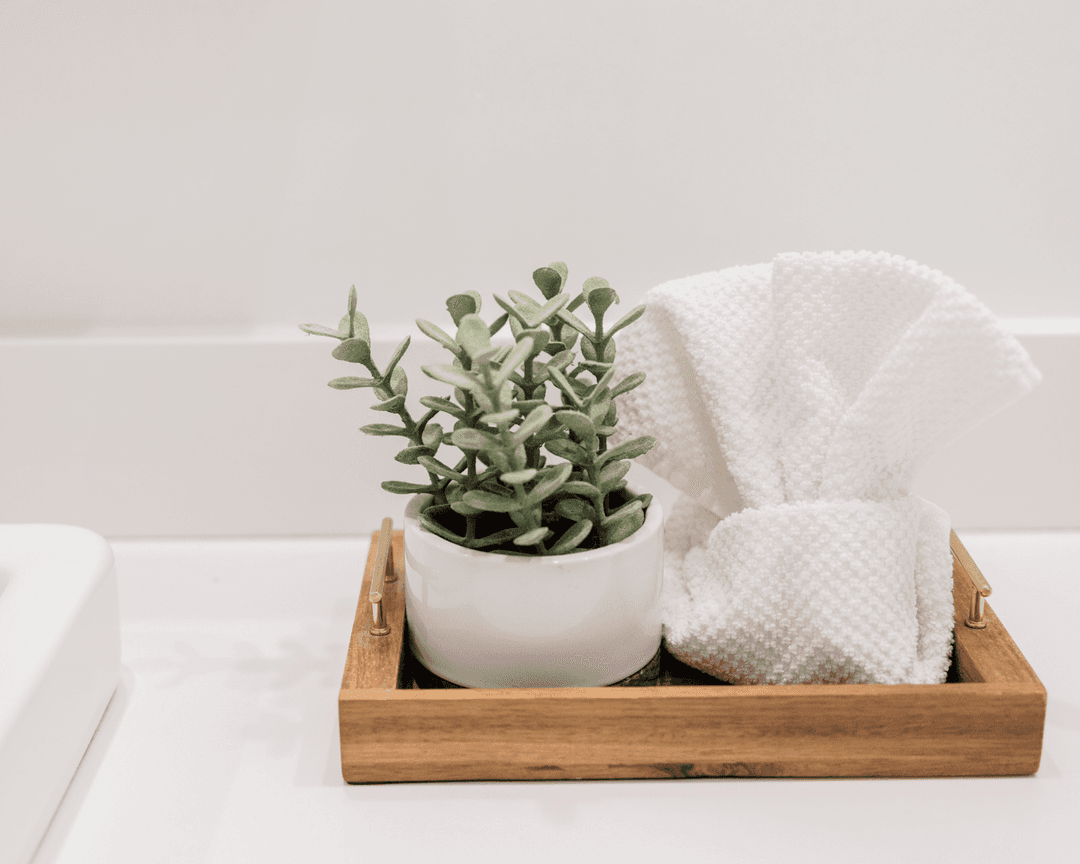 Clean, Comfortable Toilets